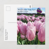 ピンクチューリップフィールド（熱気球付き）、オレゴンポスト ポストカード (正面/裏面)