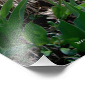 ピンクチューリップフォトプリントと引用文 フォトプリント            (角)