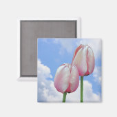 ピンクチューリップブルースカイフローラマグネット マグネット (正面/裏面)