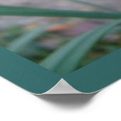 ピンクチューリッププリント ポスター (角)