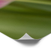 ピンクチューリップポートレート ポスター (角)