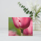 ピンクチューリップマクロDSC0852 招待状 (スタンド正面)