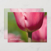ピンクチューリップマクロDSC0852 招待状 (正面/裏面)