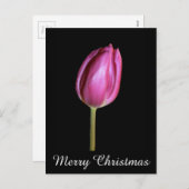ピンクチューリップメリークリスマスフローラ花写真 シーズンポストカード (正面/裏面)