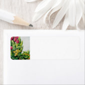 ピンクチューリップ差出人住所ラベル ラベル (インサイチュ)