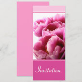 ピンクチューリップ招待状 招待状 (正面/裏面)