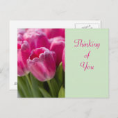ピンクチューリップ考えポートレートのユー ポストカード (正面/裏面)