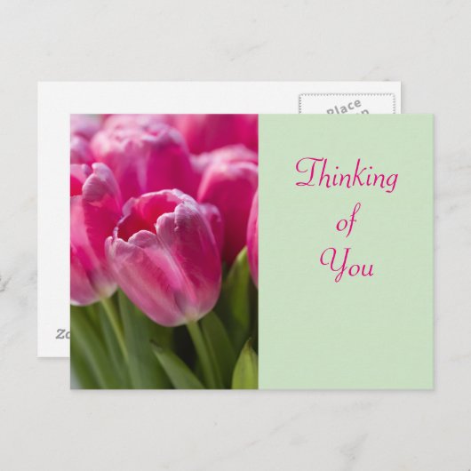 ピンクチューリップ考えポートレートのユー ポストカード (正面/裏面)