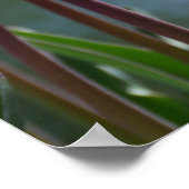 ピンクチューリップ ポスター (角)