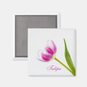 ピンクチューリップ マグネット (正面/裏面)