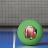 ピンクチューリップ 卓球ボール (ネット)