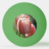 ピンクチューリップ 卓球ボール (裏面)