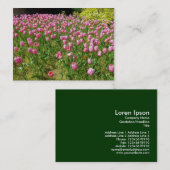 ピンクチューリップ 名刺 (正面/裏面)