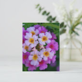 ピンクチョウの草花 ポストカード (スタンド正面)