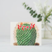 ピンクッションケア vintage イラスト ポストカード (スタンド正面)