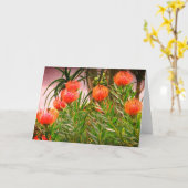 ピンクッション丹後#1カード カード (黄色い花)