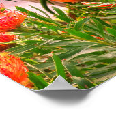 ピンクッション丹後#1ポスター ポスター (角)