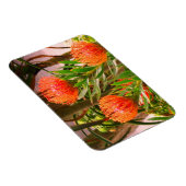 ピンクッション#1磁石 マグネット (右側)