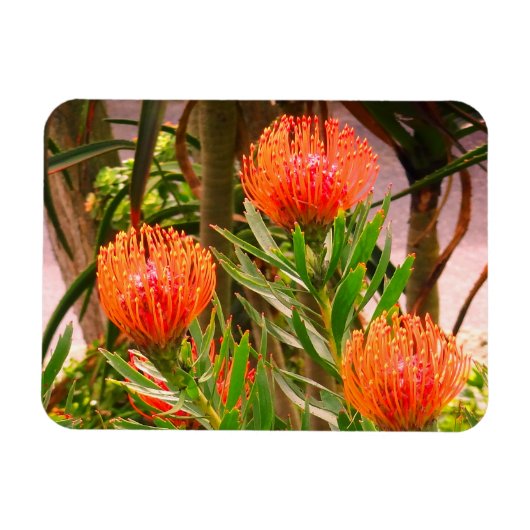 ピンクッション#1磁石 マグネット (横)