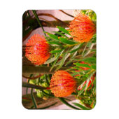 ピンクッション#1磁石 マグネット (縦)