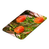 ピンクッション#1磁石 マグネット (左側)