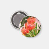 ピンクッション#1磁石 マグネット (正面/裏面)