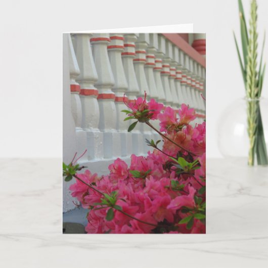 ピンクツツツツジ – マーサのブドウ畑カード カード (正面)