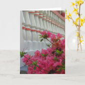 ピンクツツツツジ – マーサのブドウ畑カード カード (黄色い花)