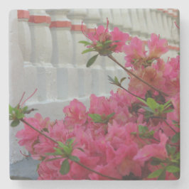 ピンクツツツツツジ – マルタのブドウ畑 ストーンコースター