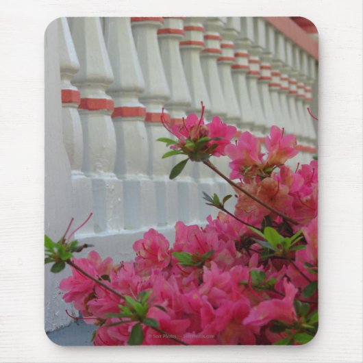 ピンクツツツツツジ – マルタのブドウ畑 マウスパッド (正面)