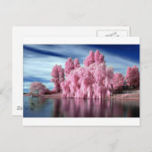 ピンクツリー ポストカード (正面/裏面)