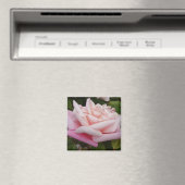 ピンクツートーンヴィンテージバラフラワーフローラ絵画ズ マグネット (インサイチュ (食洗機))