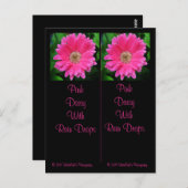 ピンクデイジーしおり葉書 ポストカード (正面/裏面)
