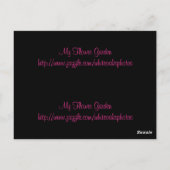 ピンクデイジーしおり葉書 ポストカード (裏面)