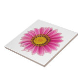 ピンクデイジーの白い背景 タイル (側面)