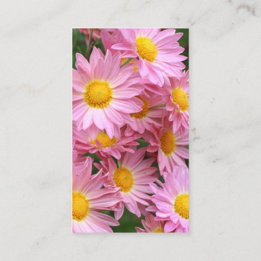 ピンクデイジーの花写真ビジネスカード 名刺 (裏面)