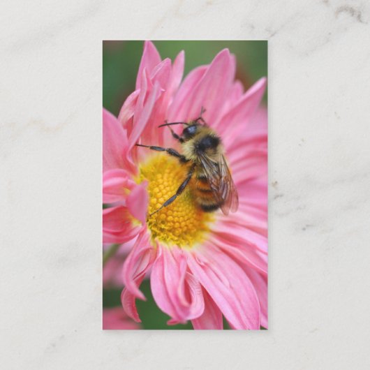 ピンクデイジービーフラワー写真ビジネスカード 名刺 (裏面)