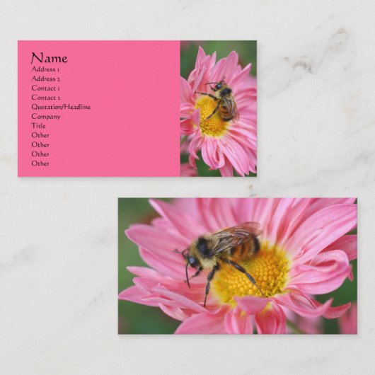 ピンクデイジービーフラワー写真ビジネスカード 名刺 (正面/裏面)