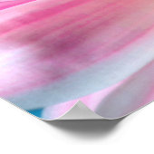 ピンクデイジーフラワー開花 ポスター (角)