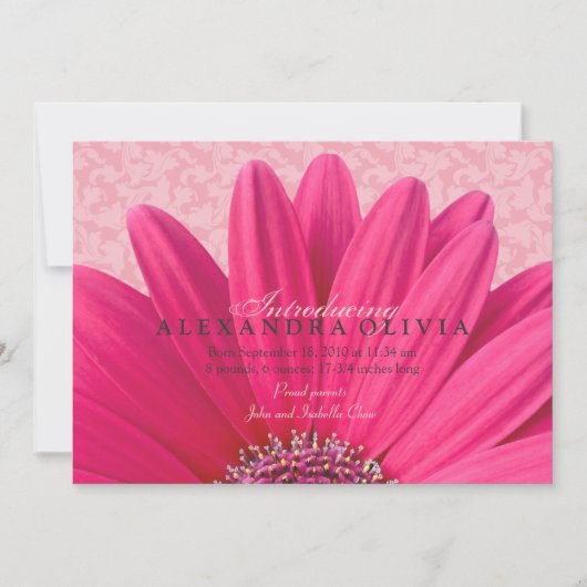 ピンクデイジーベビーガール生誕発表 案内状 (正面)