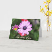ピンクデイジー型の花 カード (黄色い花)