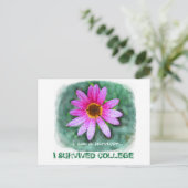 ピンクデイジー私は生存者 ポストカード (スタンド正面)