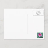 ピンクデイジー私は生存者 ポストカード (裏面)