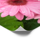 ピンクデイジー鎖 ポスター (角)