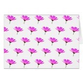 ピンクデイジー (正面横)