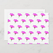 ピンクデイジー シーズンポストカード (正面/裏面)