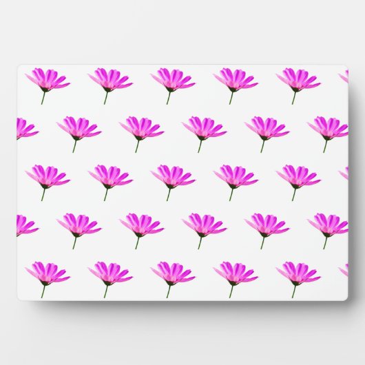 ピンクデイジー フォトプラーク (正面)