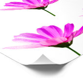 ピンクデイジー フォトプリント            (角)