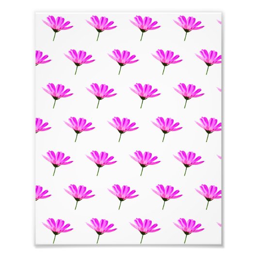 ピンクデイジー フォトプリント            (正面)