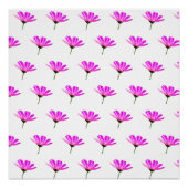 ピンクデイジー ポスター (正面)